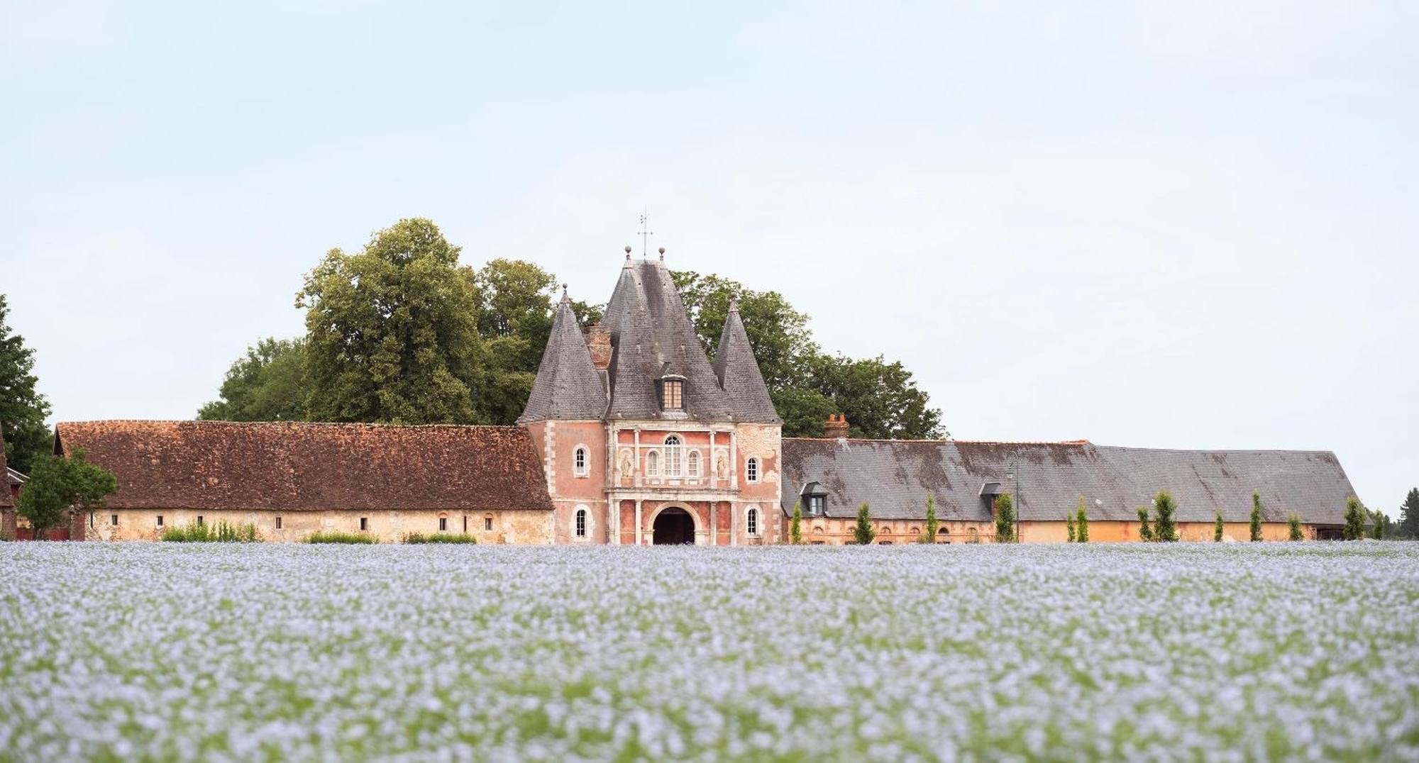 Le Chateau De Bonnemare - Bed And Breakfast Radepont Exteriör bild